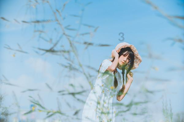 解答你的问题,尽在四不从是什么?