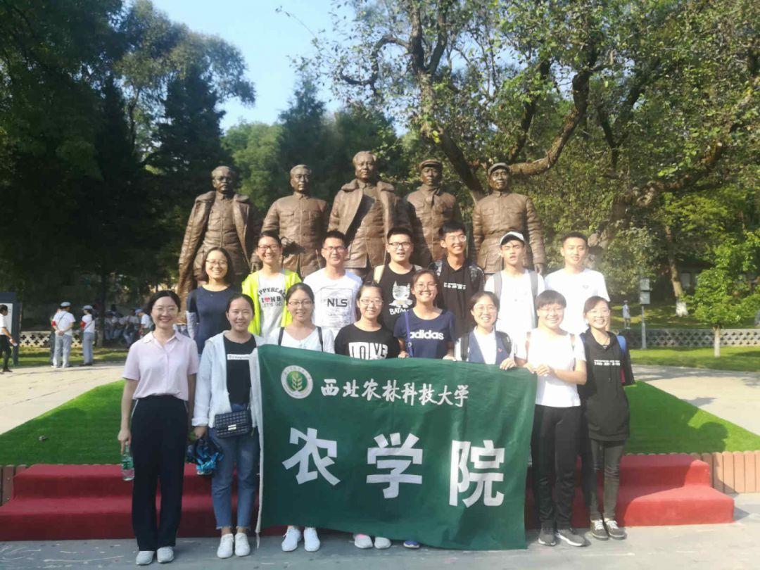 动物帮帮忙保卫家园