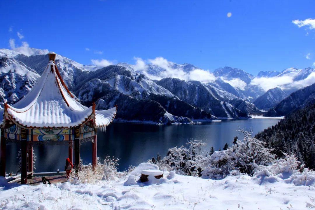 斯柯达和大众哪款好?有什么区别? - 真实、有趣的社区讨论平台